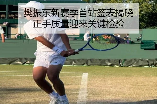 樊振东新赛季首站签表揭晓 正手质量迎来关键检验 - MIBO